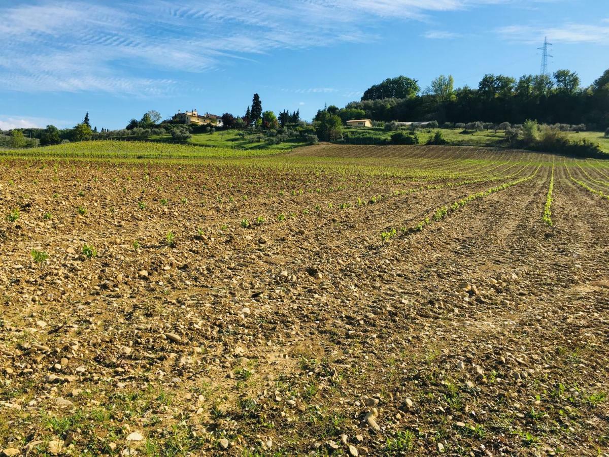 Tavarnelle Val di Pesa Agriturismo La Valle A Polvereto 빌라 외부 사진