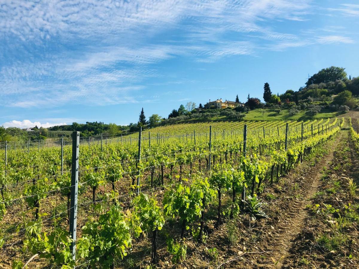 Agriturismo La Valle A Polvereto Tavarnelle Val di Pesa 외부 사진