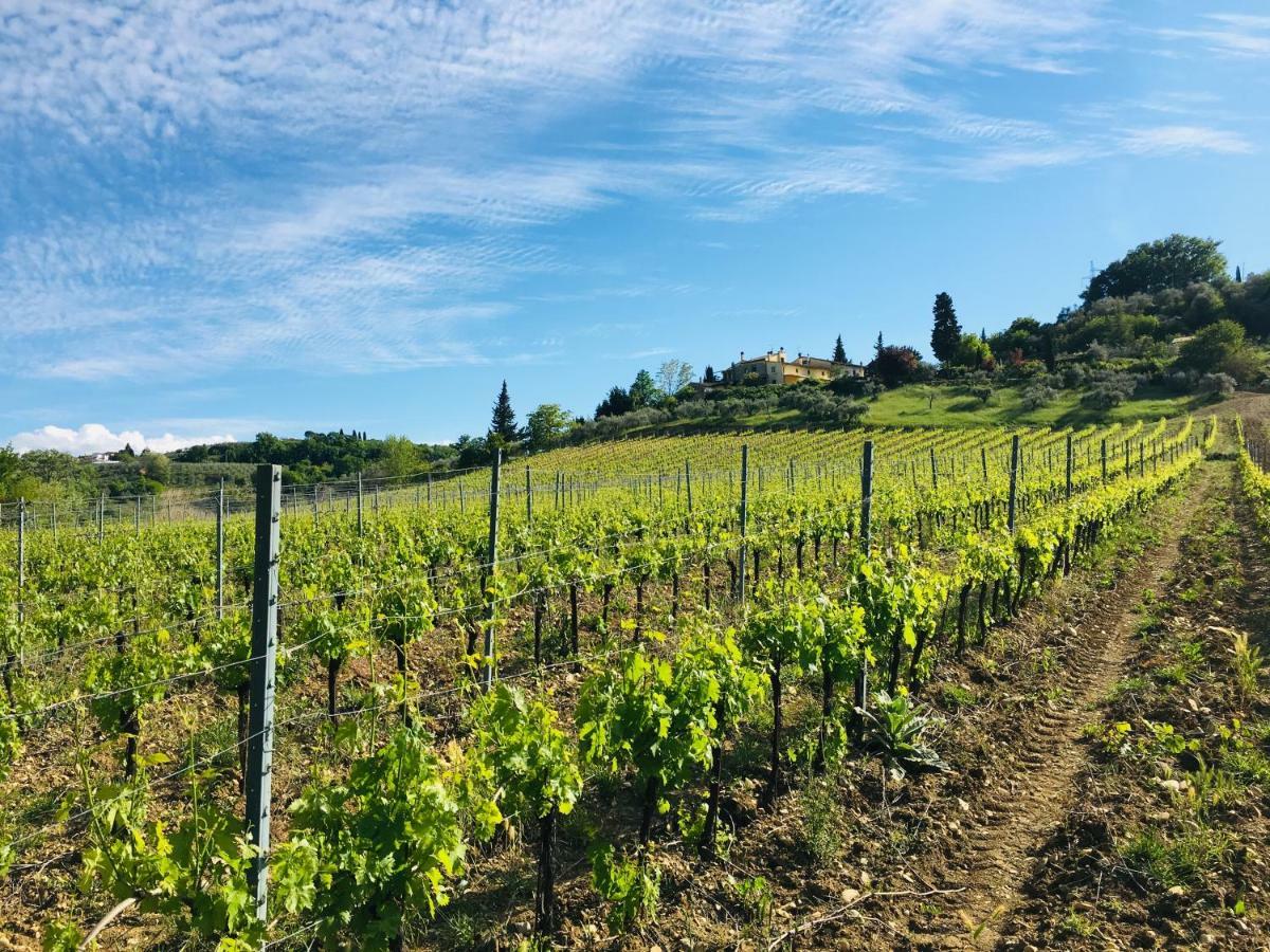 Tavarnelle Val di Pesa Agriturismo La Valle A Polvereto 빌라 외부 사진