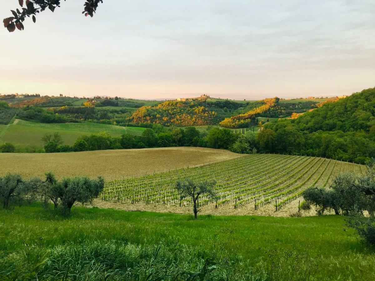Agriturismo La Valle A Polvereto Tavarnelle Val di Pesa 외부 사진