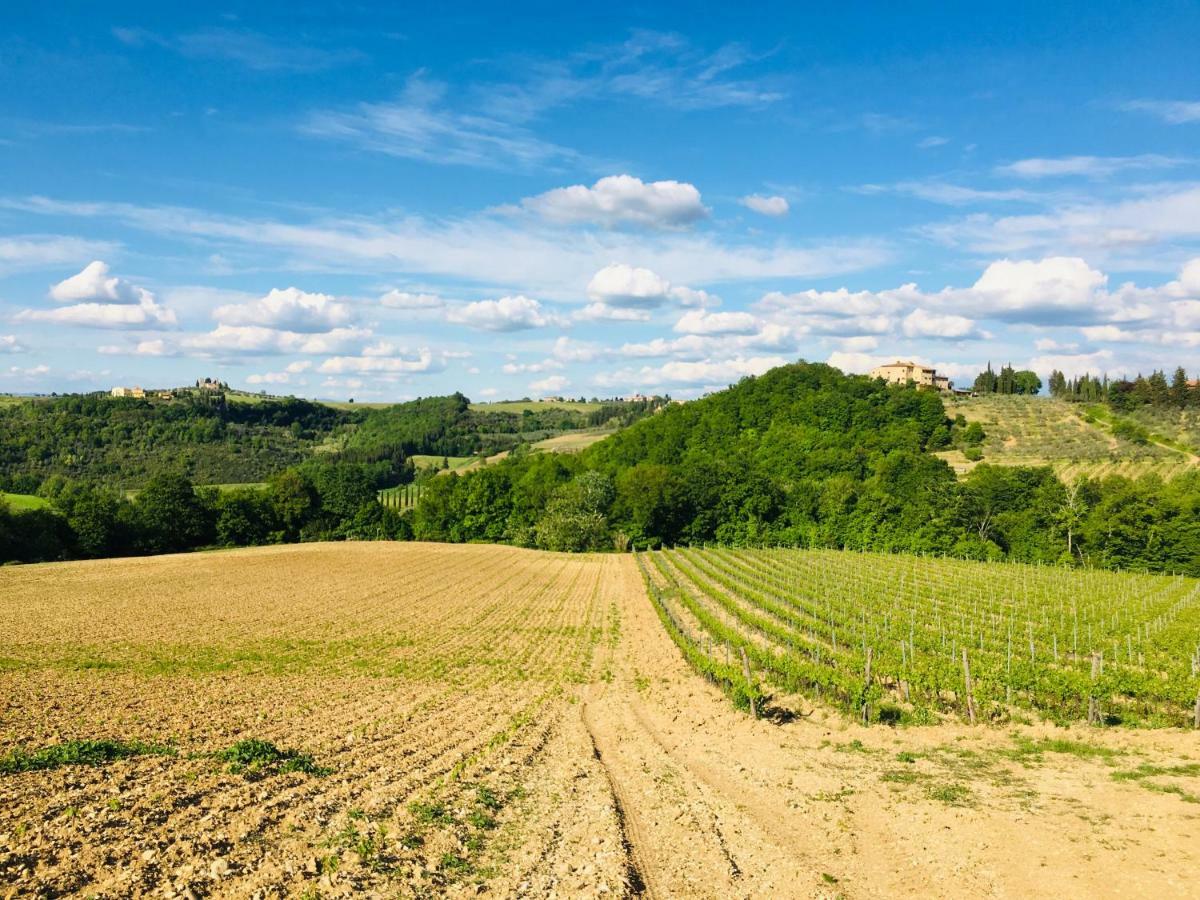Agriturismo La Valle A Polvereto Tavarnelle Val di Pesa 외부 사진